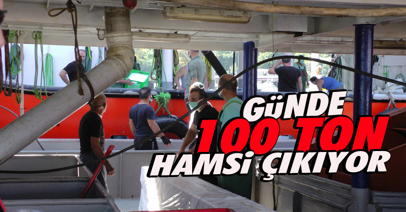 Anadolu'ya Sevk Ediliyor