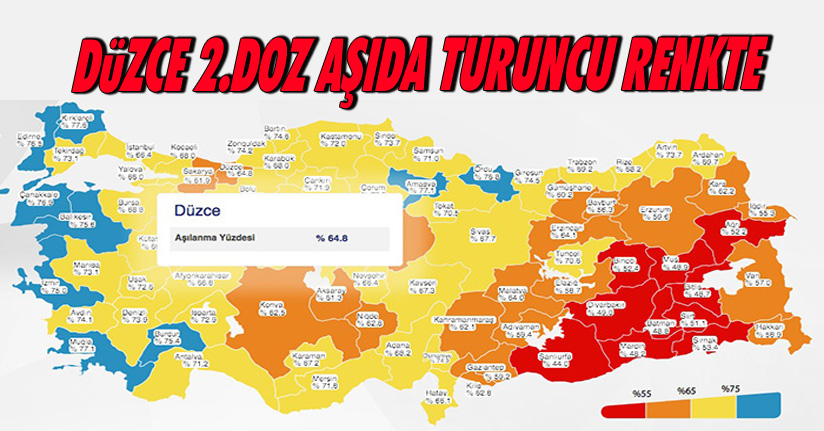 2.Doz Aşıda Turuncu Renkte