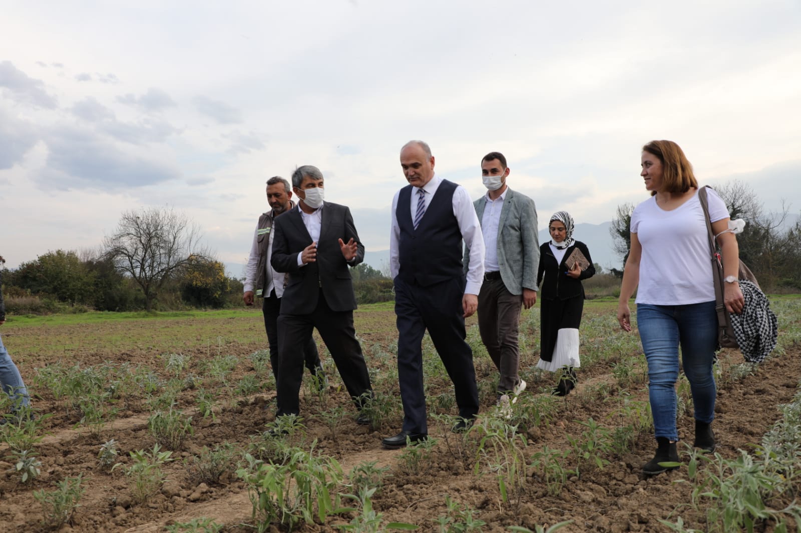 Tıbbi aromatik bitkiler toprakla buluşmaya başladı