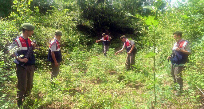 Jandarma’dan uyuşturucuya geçit yok