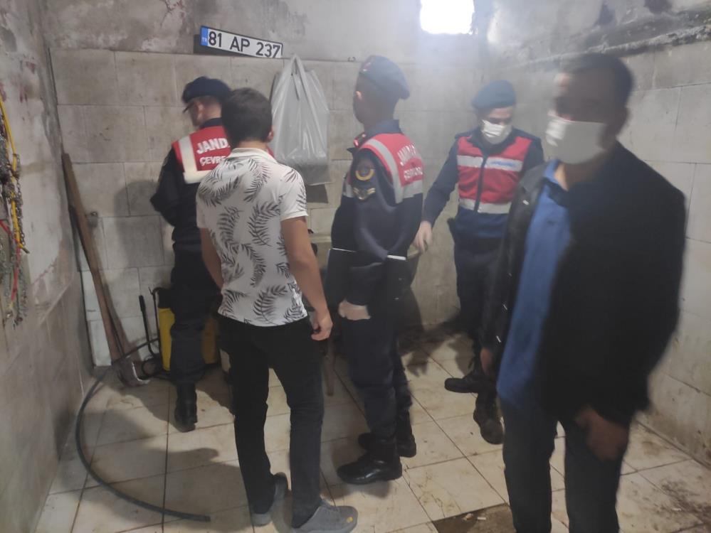 Vatandaşa at eti yedireceklerdi