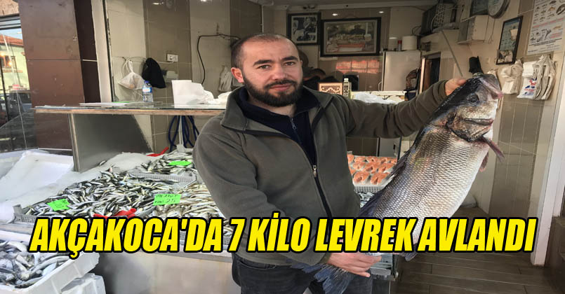 7 kilo levrek avlandı