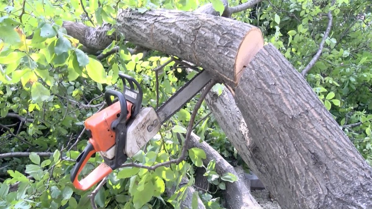 Tomruk altında kalan işçi hayatını kaybetti