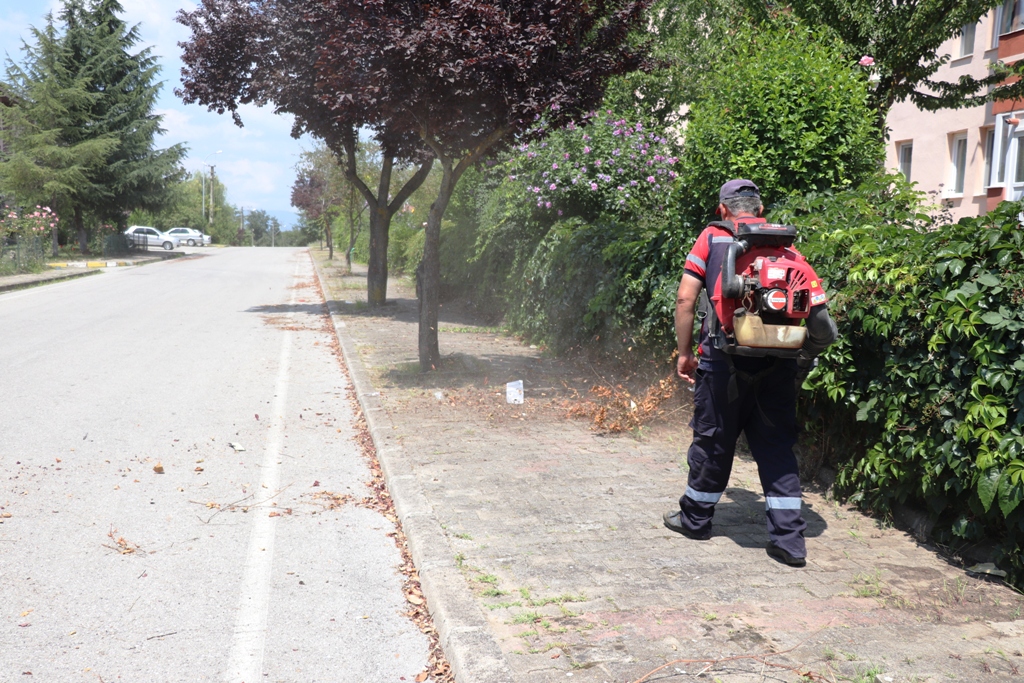 Temiz şehir Düzce hareketi karşılığını buluyor