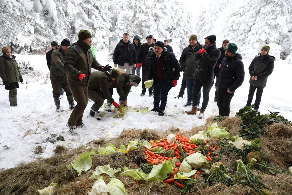 Yaban hayvanlarına yem bıraktılar