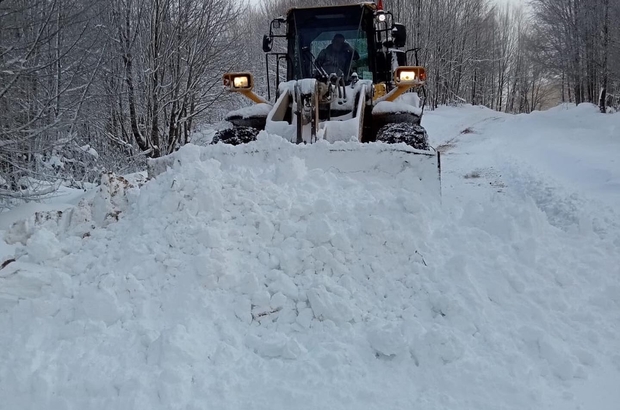 Kar nedeniyle 22 köy yolu kapandı