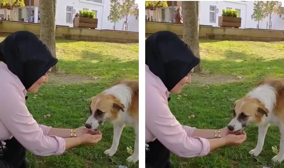 İNSANLIK ÖLMEMİŞ DEDİRTTİ