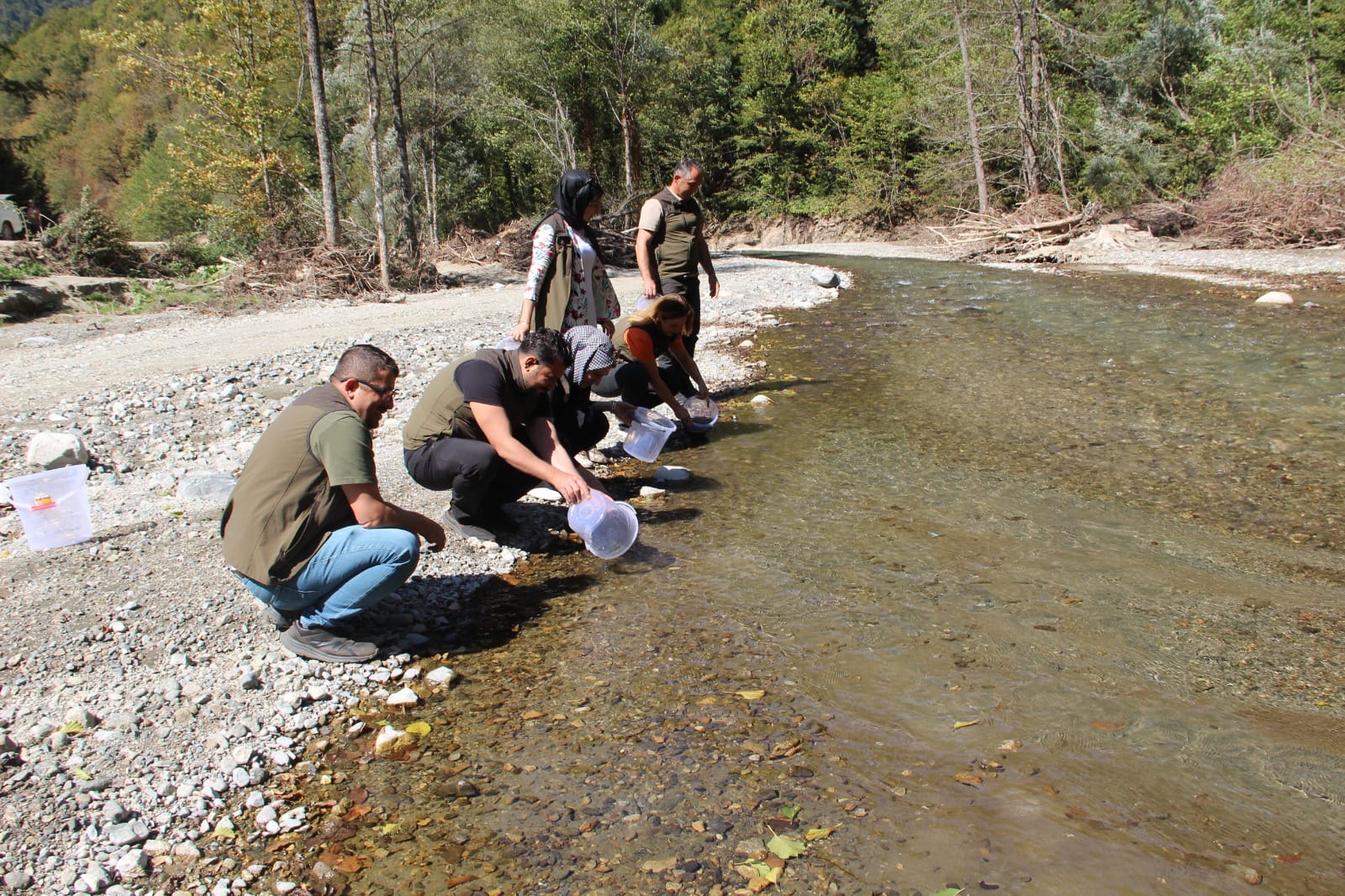 KIRIMIZI BENEKLİ ALABALIKLAR SUYA SALINDI