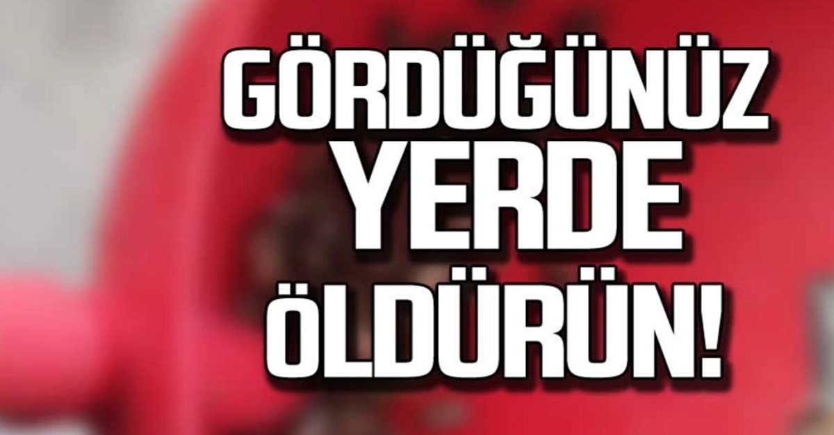 GÖRDÜĞÜNÜZ YERDE İMHA EDİN
