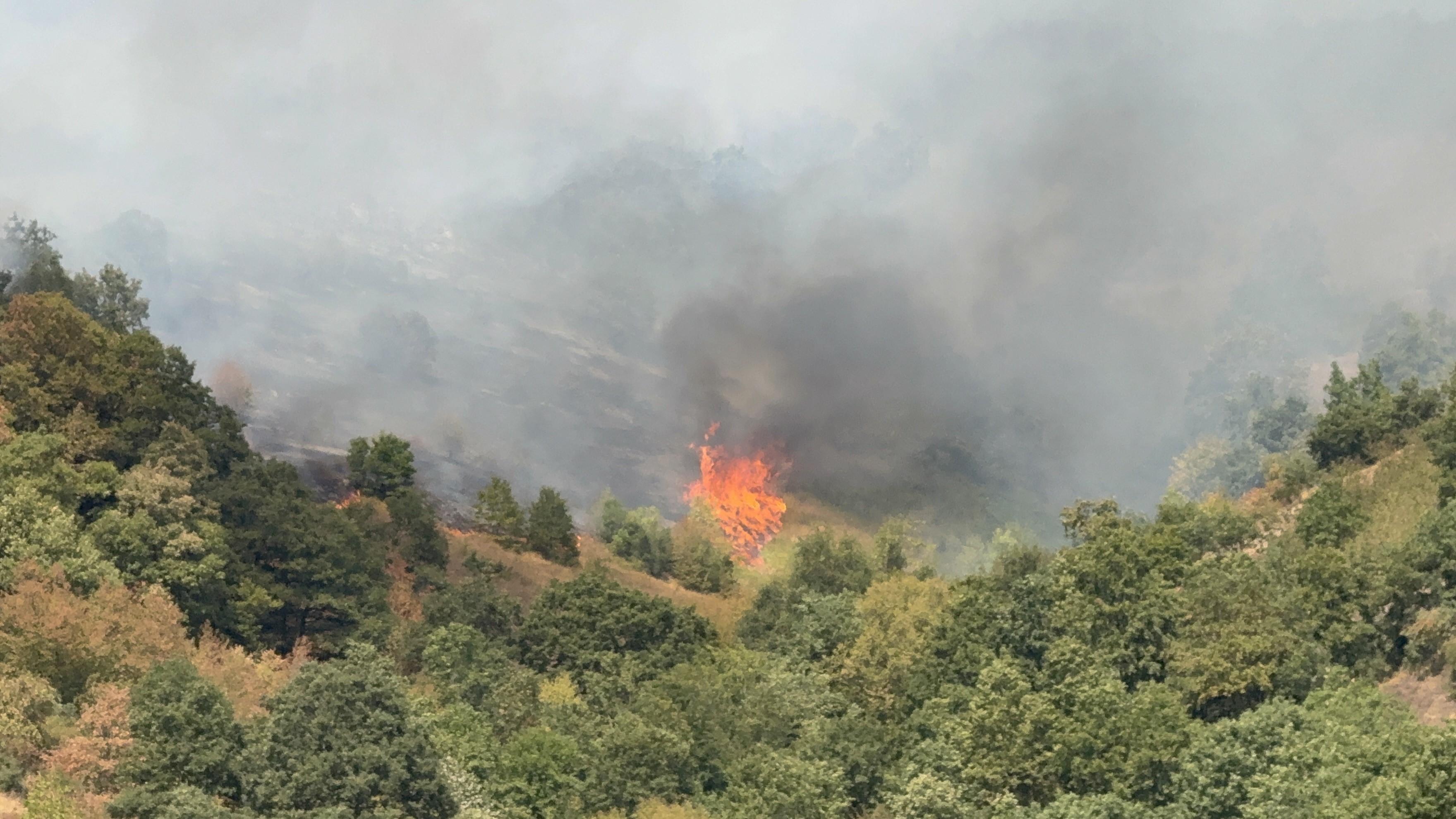 Düzce’de yangının çıkış nedeni araştırılıyor