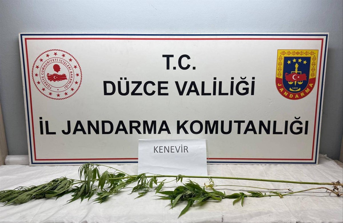 Jandarma’dan uyuşturucu operasyonu