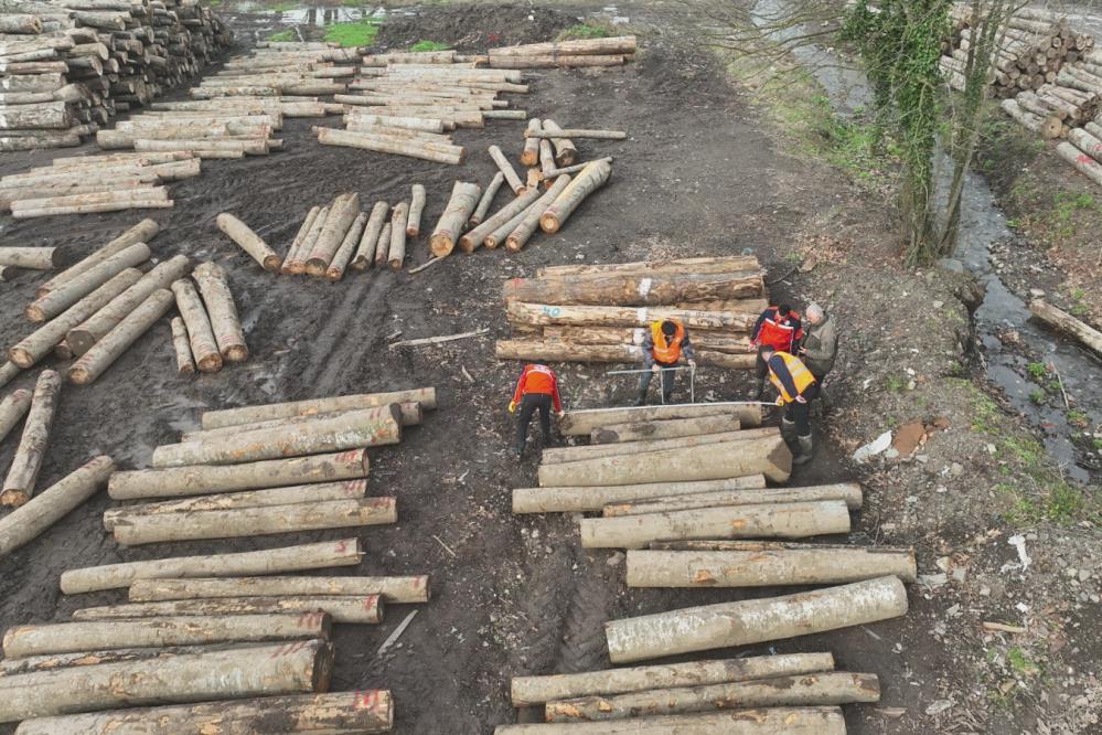 9 bin 967,5 ton orman ürünü ihraç edildi