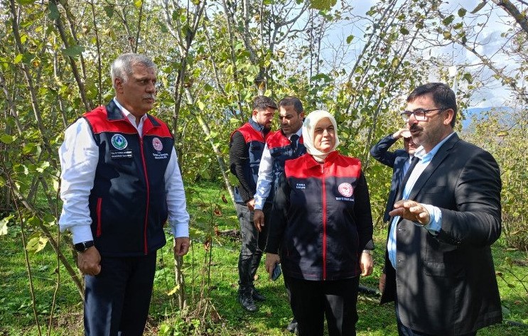 Ülke genelinde kayıplara yol açıyor