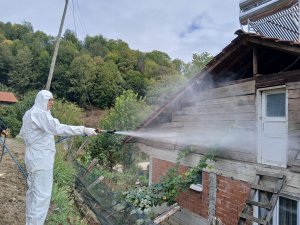 Tarımın düşmanı ile mücadele sürüyor