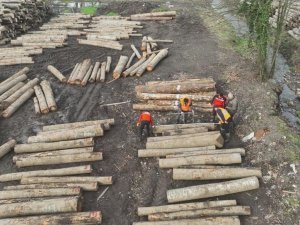 Düzce’de orman ürünü ihracatı geçen yılı geçti