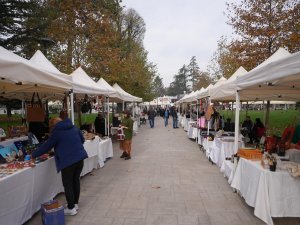 Düzce millet bahçesi üretim şenliğine ev sahipliği yaptı