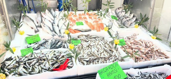 Düzce’de balık fiyatları düşerken, vatandaşlar balığa yöneliyor