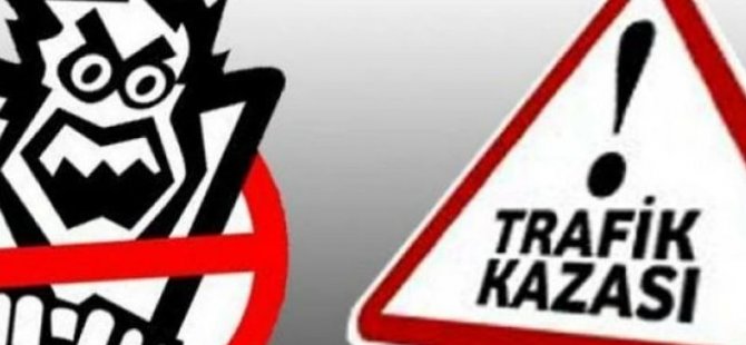 Tomruk yüklü tır 50 metreden uçtu 1 yaralı