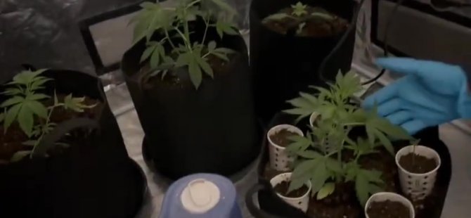 Evine kurduğu özel düzenekle uyuşturucu yetiştiriyordu