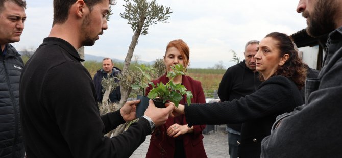 Düzce’de fındık dışında yetişen doğal ürünler konuşuldu
