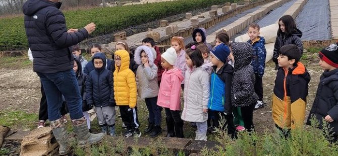 Minik eller büyük ormanlar oluşturmak için çalıştı