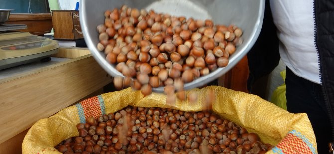 Yılın ilk çeyreğinde 2 bin 784 ton fındık ihraç edildi