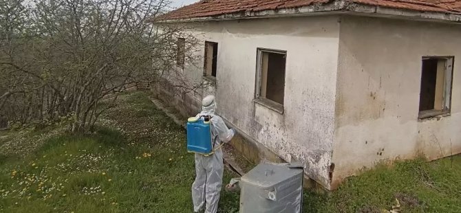 Kahverengi Kokarcayla mücadele sürüyor