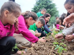 Minik elleriyle fideleri toprakla buluşturdular