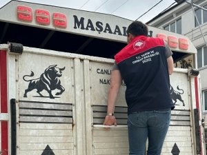Düzce’de artan hayvan haraketliliği denetim altında
