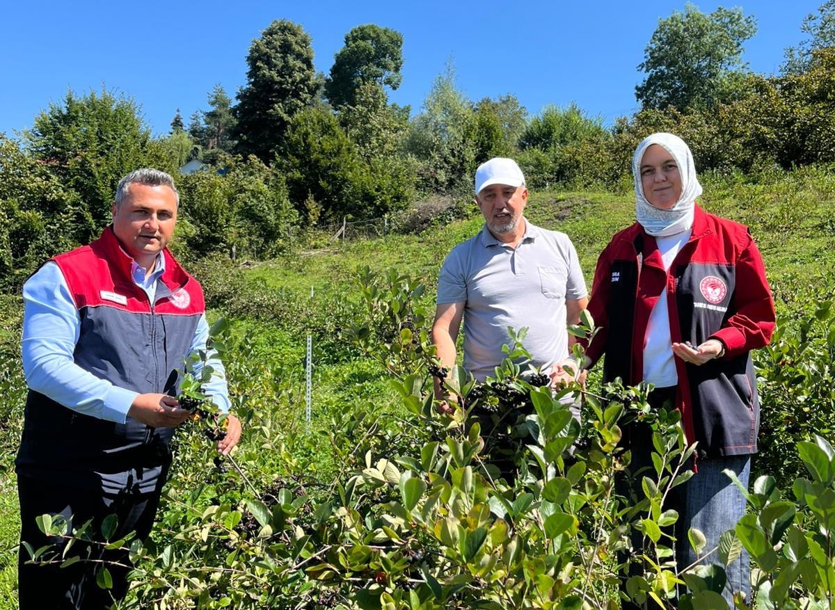 Düzce’de üretiminde yeni hedef katma değerli ürünler