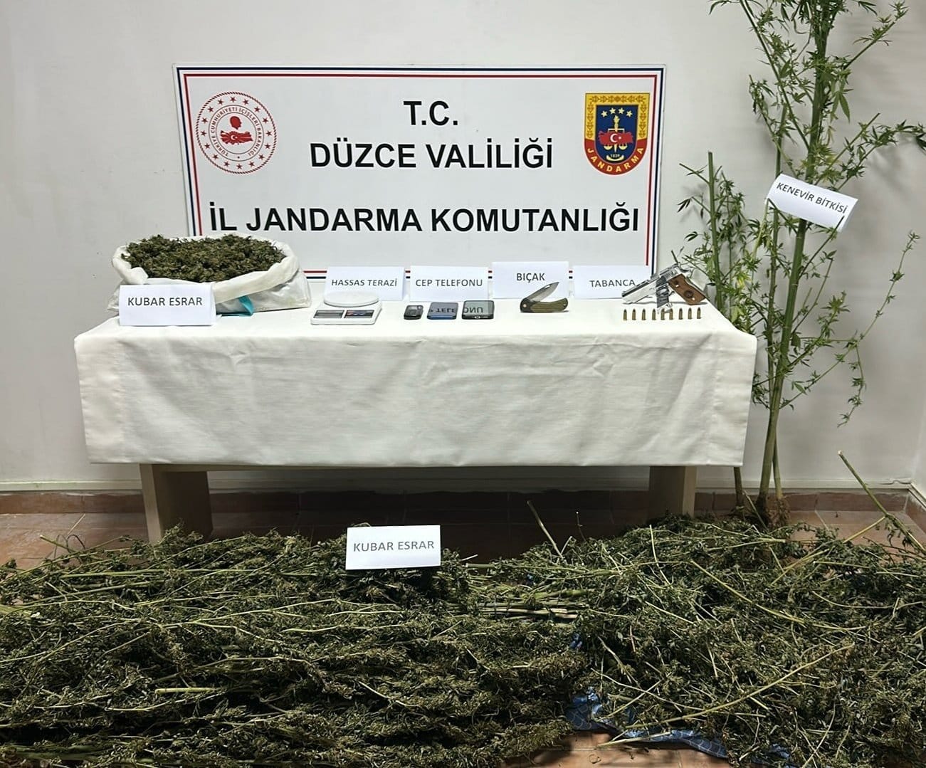 Jandarmadan uyuşturucu operasyonu