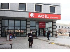 Van’da Domuz Gribi Şüphesi