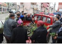 Orman İşletmesinden Bedava Fidan