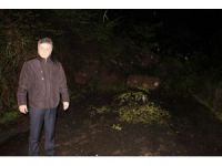 Zonguldak’ta Heyelan