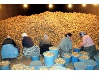 “Kriz Olabilecek Patates Sıkıntımız Yok”