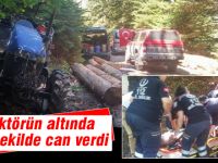 Feci şekilde can verdi