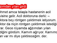 Ağzımdan yılan girdi