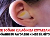 Soğanın inanılmaz faydaları eğer kulağınıza koyarsanız bakın neler oluyor!