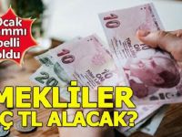 Emekli maaşı zammı 2018 ne kadar oldu ?