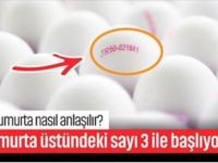 Yumurta üstündeki sayı 3 ile başlıyorsa..