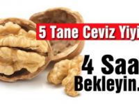 Sadece 5 Tane Ceviz Yiyin ve 4 Saat Sonra BAKIN Ne Oluyor?