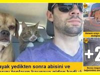 Var mısın biraz gülmeye :)