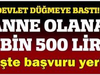 Devletten Anne Olana Tam 4 bin 500 lira