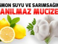 Limon suyu ve Sarımsak mucizesi yapılışı, kullanım şekli ve faydaları