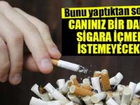 Canınız Bir Daha Sigara İçmek İstemeyecek!
