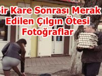 Çılgın Ötesi Fotoğraflar :)