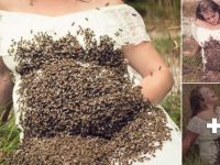 Hamile kadın arılarla fotoğraf çektirdi ancak! İşin sonu korkunç…