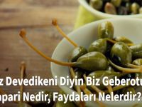 Kemikleri ve Beyni Geliştiriyor