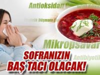BU ÇORBALARLA GRİPTEN KORUNMAK MÜMKÜN!