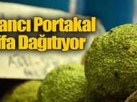 ADI YALANCI KENDİSİ ŞİFA KAYNAĞI